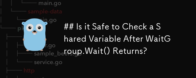 WaitGroup.Wait() 返回后检查共享变量是否安全？