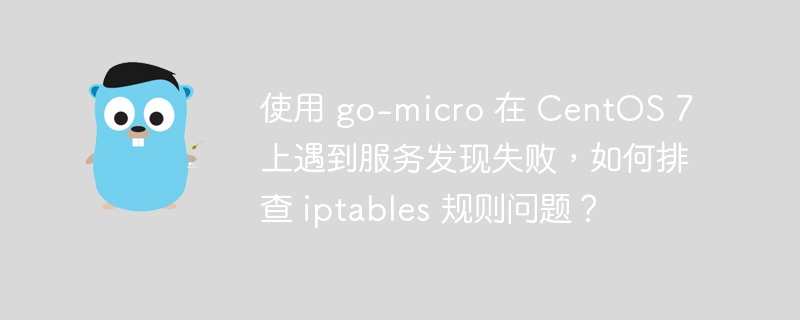 使用 go-micro 在 CentOS 7 上遇到服务发现失败，如何排查 iptables 规则问题？-小浪资源网