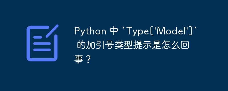 Python 中 `Type[‘Model’]` 的加引号类型提示是怎么回事？-小浪资源网