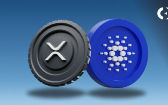RCO Finance Overshadows XRP and Cardano Despite Being in Presale, Here's Why