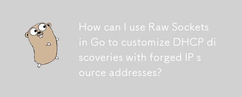 如何使用 Go 中的原始套接字透過偽造的 IP 來源位址自訂 DHCP 發現？
