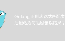 Golang 正则表达式匹配文件后缀名为何返回错误结果？