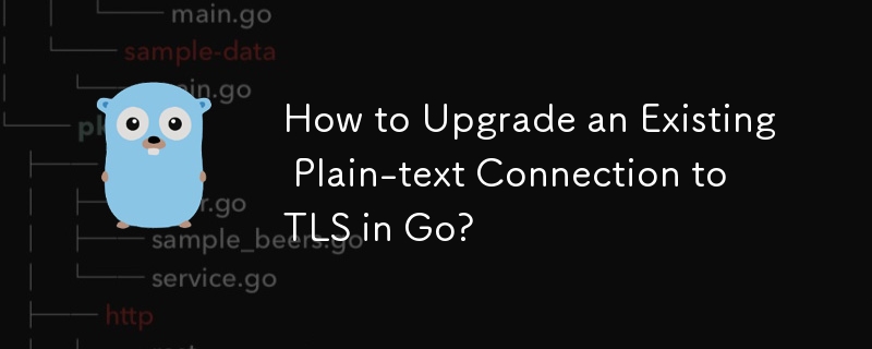 Wie aktualisiere ich eine bestehende Klartextverbindung auf TLS in Go?