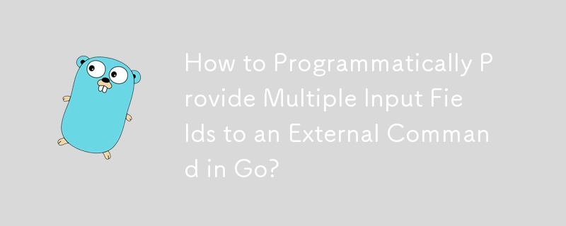 如何以编程方式为 Go 中的外部命令提供多个输入字段？