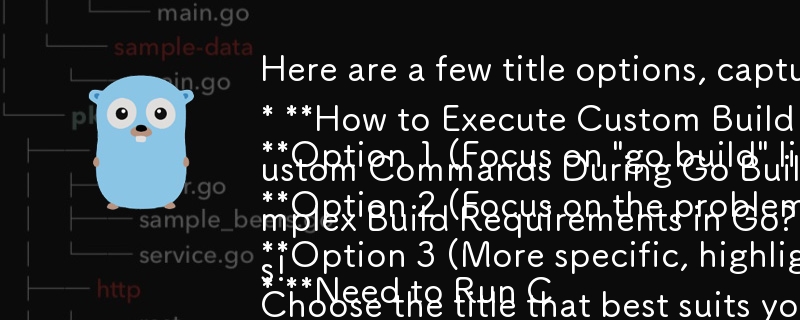 以下是一些標題選項，捕捉問答格式和文章的本質：

選項 1（關注“go build”限制）：

* 如何執行 `go 以外的自訂建置步驟