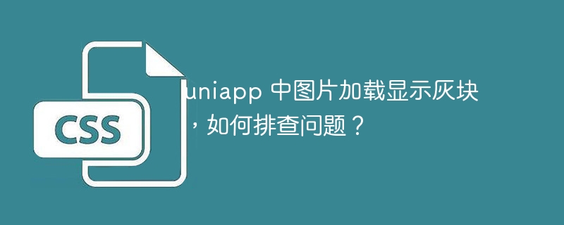 uniapp 中图片加载显示灰块，如何排查问题？-小浪资源网