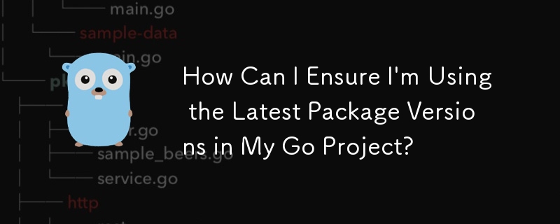 How Can I Ensure I\'m Using the Latest Package Versions in My Go Project?