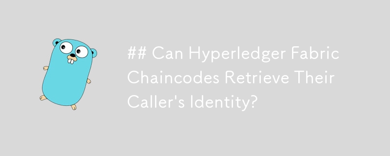 Can Hyperledger Fabric Chaincodes Retrieve Their Caller\'s Identity?