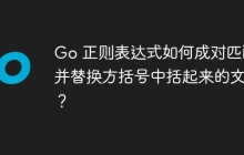 Go 正则表达式如何成对匹配并替换方括号中括起来的文本？