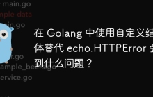 在 Golang 中使用自定义结构体替代 echo.HTTPError 会遇到什么问题？