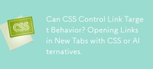 CSS 可以控制連結目標行為嗎？使用 CSS 或替代方案在新分頁中開啟連結。