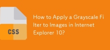 如何在 Internet Explorer 10 中對影像套用灰階濾鏡？