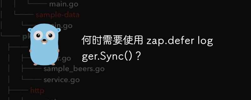 何时需要使用 zap.defer logger.sync()？