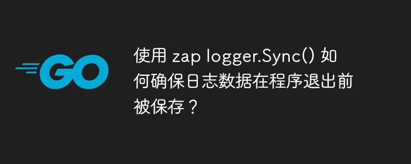 使用 zap logger.Sync() 如何确保日志数据在程序退出前被保存？-小浪资源网