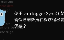 使用 zap logger.Sync() 如何确保日志数据在程序退出前被保存？