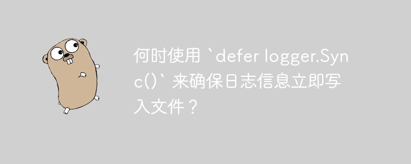 何时使用 `defer logger.Sync()` 来确保日志信息立即写入文件？-小浪资源网