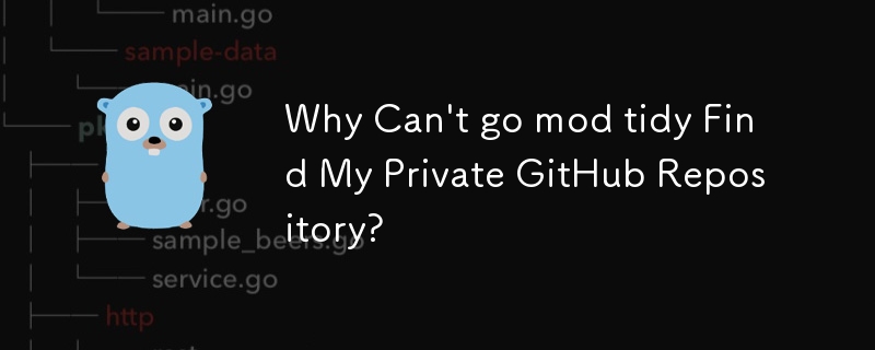 为什么无法 go mod tidy 查找我的私人 GitHub 存储库？