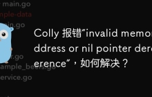 Colly 报错“invalid memory address or nil pointer dereference”，如何解决？