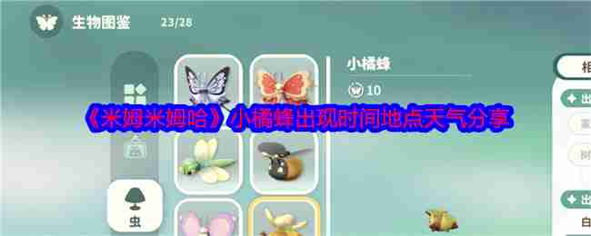 《米姆米姆哈》小橘蜂出现时间地点天气分享