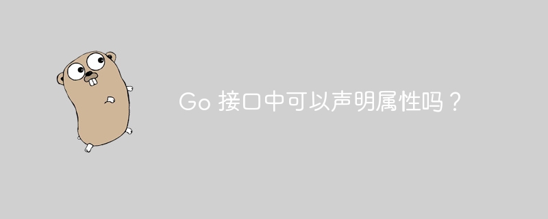 Go 接口中可以声明属性吗？-小浪资源网