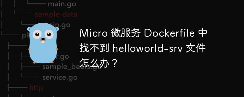 Micro 微服务 Dockerfile 中找不到 helloworld-srv 文件怎么办？-小浪资源网