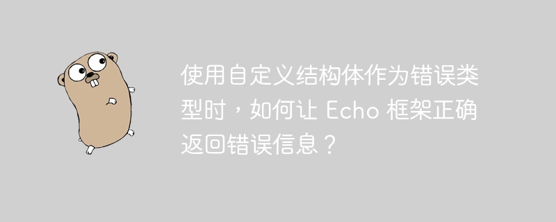 使用自定义结构体作为错误类型时，如何让 Echo 框架正确返回错误信息？-小浪资源网