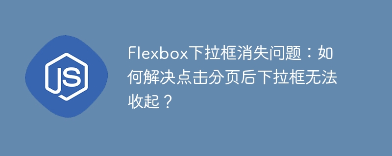 Flexbox下拉框消失问题：如何解决点击分页后下拉框无法收起？-小浪资源网