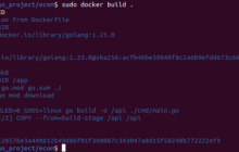 初学者上手 Docker Golang 开发