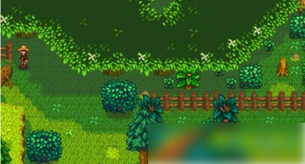 星露谷物语森林怎么解锁 星露谷物语森林解锁方法