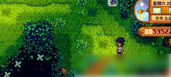 星露谷物语森林怎么解锁 星露谷物语森林解锁方法