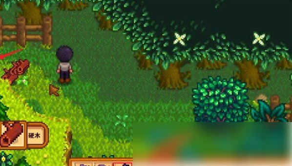 星露谷物语森林怎么解锁 星露谷物语森林解锁方法