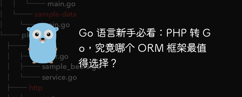 Go 语言新手必看：PHP 转 Go，究竟哪个 ORM 框架最值得选择？-小浪资源网