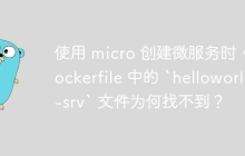 使用 micro 创建微服务时，Dockerfile 中的 `helloworld-srv` 文件为何找不到？
