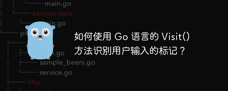 如何使用 Go 语言的 Visit() 方法识别用户输入的标记？-小浪资源网