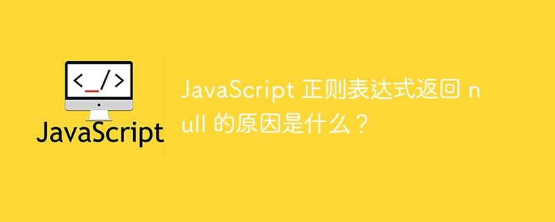 JavaScript 正则表达式返回 null 的原因是什么？-小浪资源网