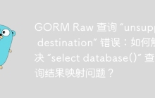 GORM Raw 查询 “unsupported destination” 错误：如何解决 “select database()” 查询结果映射问题？