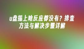 u盘插上啥反应都没有？排查方法与解决步骤详解