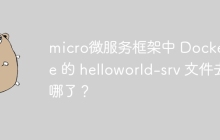 micro微服务框架中 Dockerfile 的 helloworld-srv 文件去哪了？