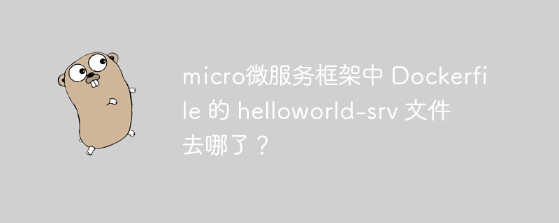 micro微服务框架中 Dockerfile 的 helloworld-srv 文件去哪了？-小浪资源网