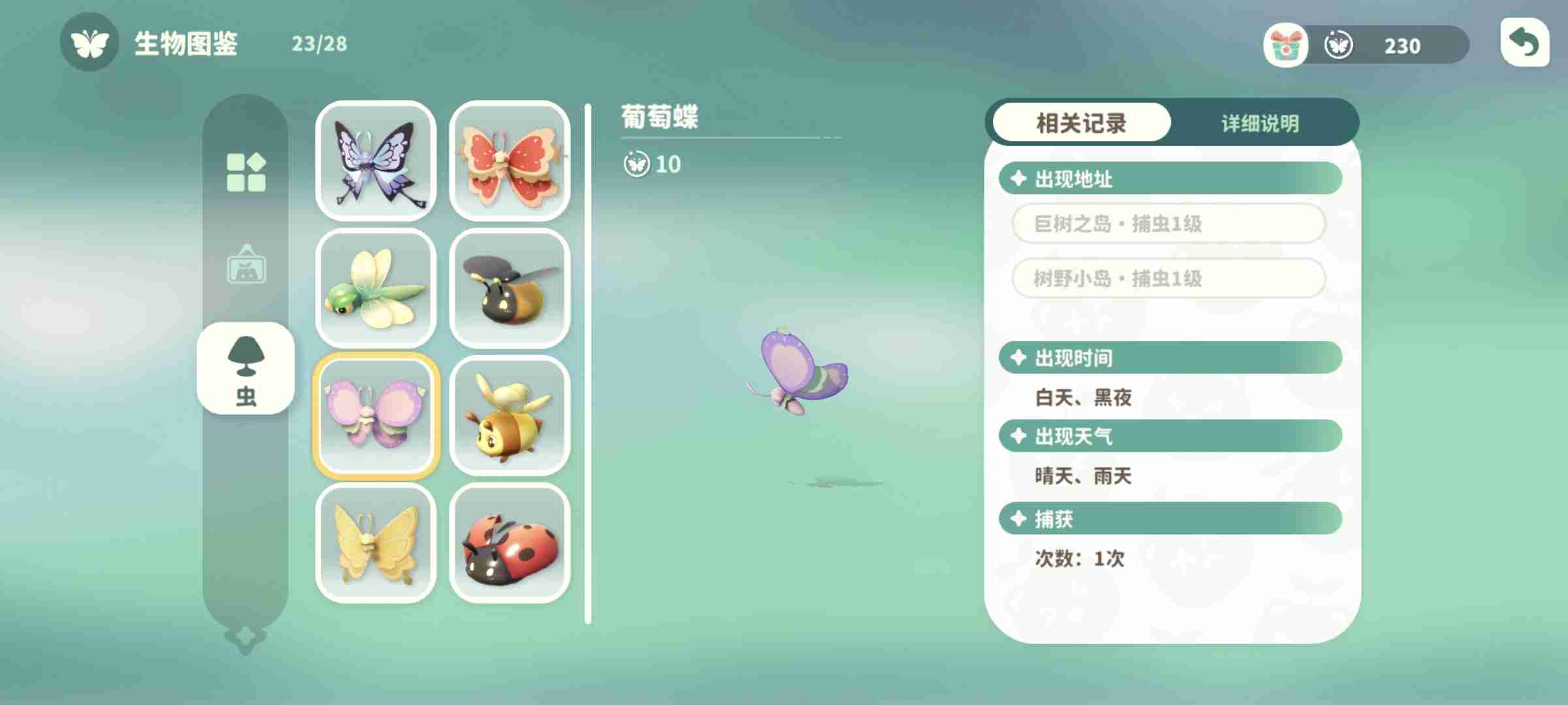 《米姆米姆哈》葡萄蝶出现时间地点天气分享