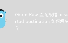 Gorm Raw 查询报错 unsupported destination 如何解决？
