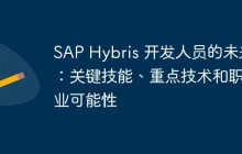 SAP Hybris 开发人员的未来：关键技能、重点技术和职业可能性