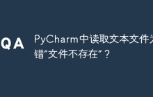 PyCharm中读取文本文件为何报错“文件不存在”？