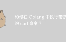 如何在 Golang 中执行带参数的 curl 命令？