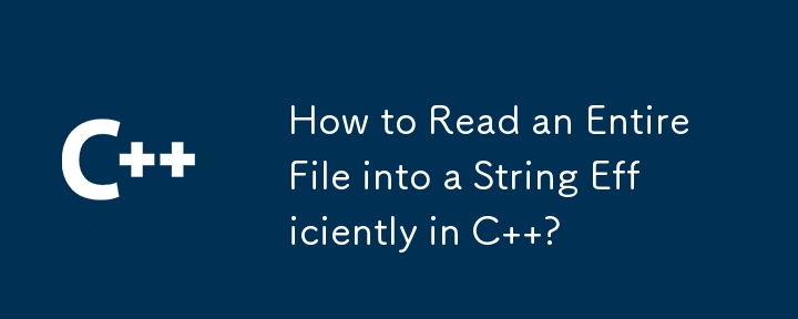 C でファイル全体を効率的に文字列に読み取る方法