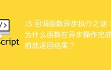 JS 回调函数异步执行之谜：为什么函数在异步操作完成之前就返回结果？