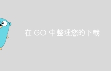 在 GO 中整理您的下载