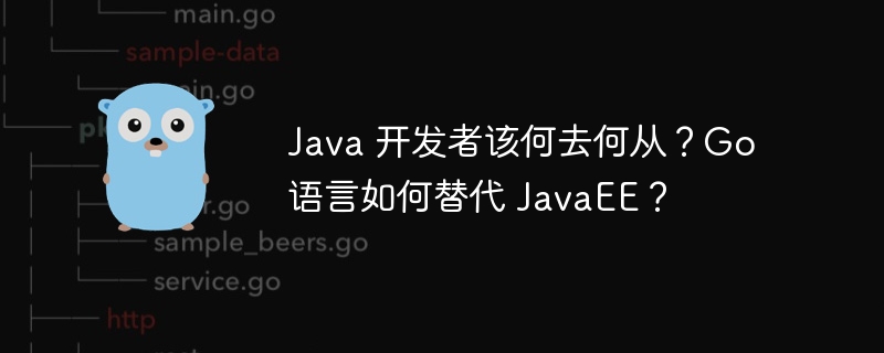 Java 开发者该何去何从？Go 语言如何替代 JavaEE？-小浪资源网