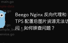 Beego Nginx 反向代理和 HTTPS 配置后图片资源无法访问，如何排查问题？