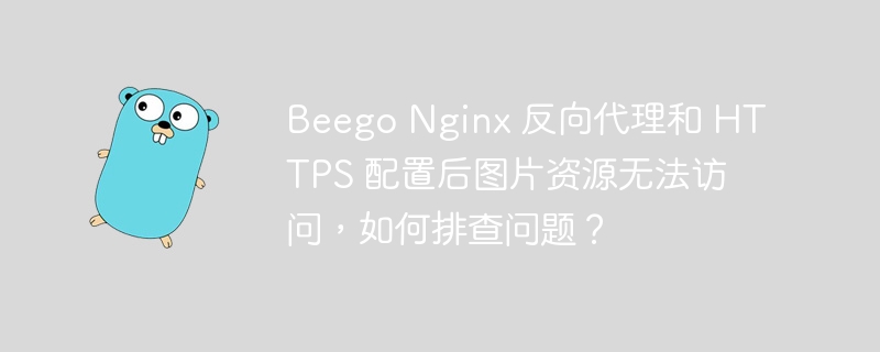 Beego Nginx 反向代理和 HTTPS 配置后图片资源无法访问，如何排查问题？-小浪资源网